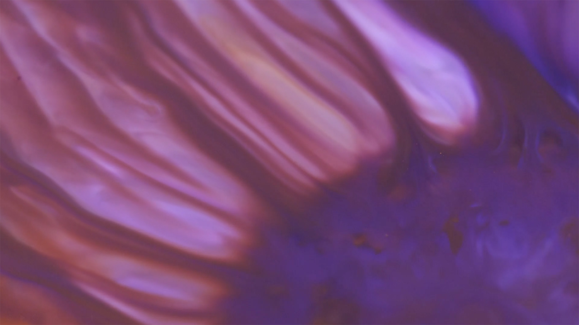 Protected: Case of the Month 02-2026